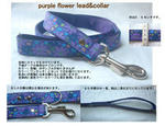 purpleflower_200.jpg